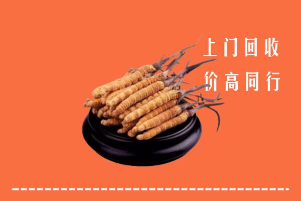 高价求购：商洛市商州回收散虫草