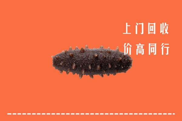 高价求购：商洛市商州回收海参
