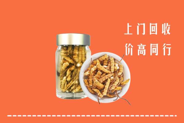 商洛市商州回收冬虫夏草